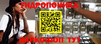 ECSTASY Будённовск