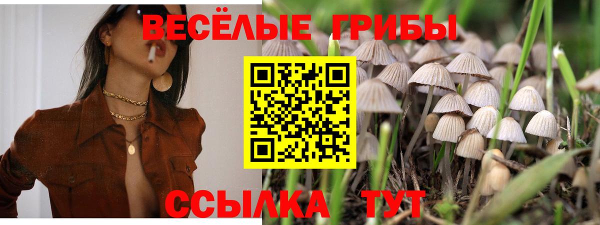 продажа наркотиков  Вход с VPN  Родники  Галлюциногенные грибы Magic Shrooms  Галлюциногенные грибы MAGIC MUSHROOMS 