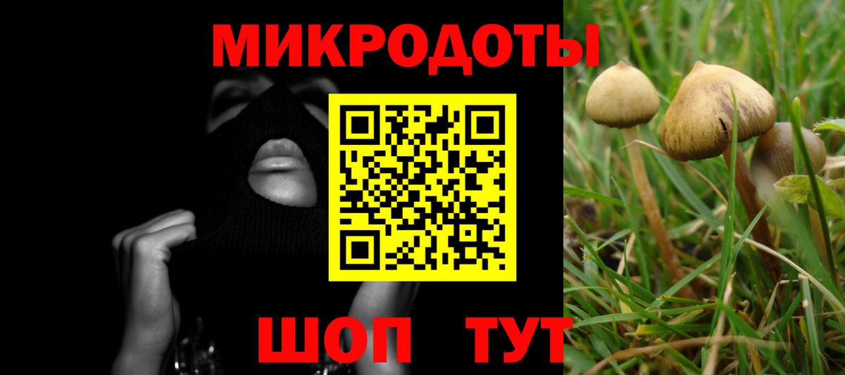 Псилоцибиновые грибы прущие грибы Родники